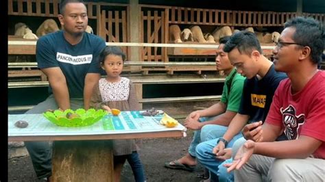 Cerita 3 Anak Milenial Yang Sukses Dan Bangga Jadi Peternak Kambing