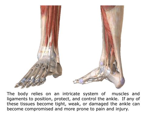 Ankle Pain - Gray Chiropractic St.Catharines Spine & Joint Clinic