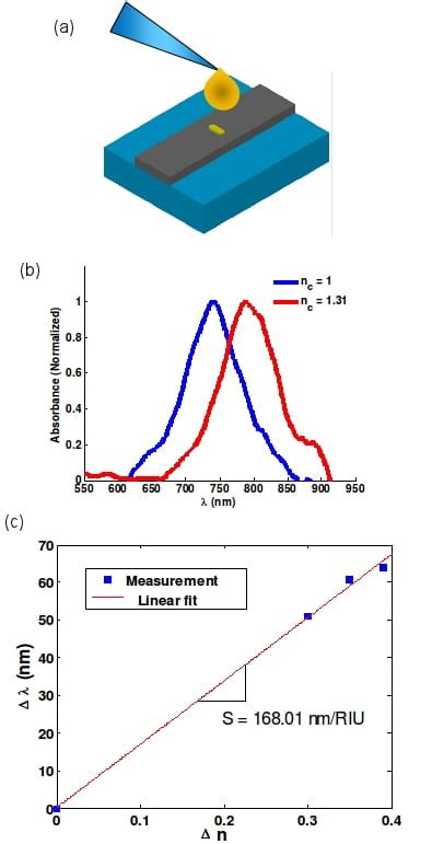 Integrated Hybrid Plasmonic Photonic Structures For Lab On Chip Sensing