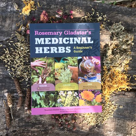 Medicinal Herbs A Beginner S Guide