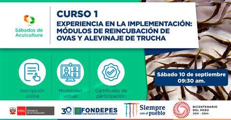 Curso Gratuito Fondepes Experiencia En La Implementaci N De M Dulos