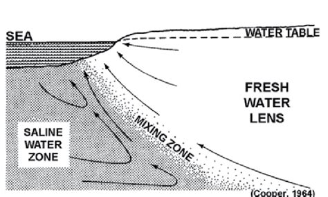 Diagram of aquifer (taken from Beddows et al. 2007). | Download Scientific Diagram