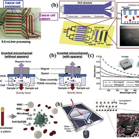 Dielectrophoresis Based Microfluidic Systems For Cell Analysis A Download Scientific Diagram