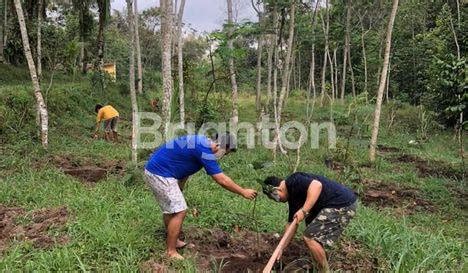 Jual Tanah Kebun Di Yogyakarta Harga Terbaru