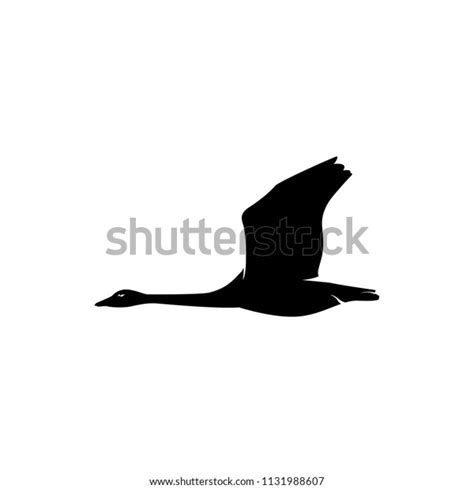 Vector Flying Swan Goose Silhouette Stock Vector Royalty Free