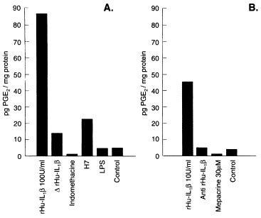 Recombinant Human Interleukin Induces Production Of Prostaglandins