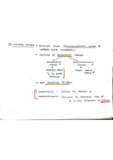 Solution Pleura Anatomy Studypool