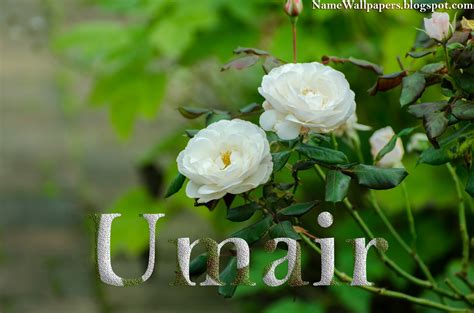 Umair Name Wallpaper