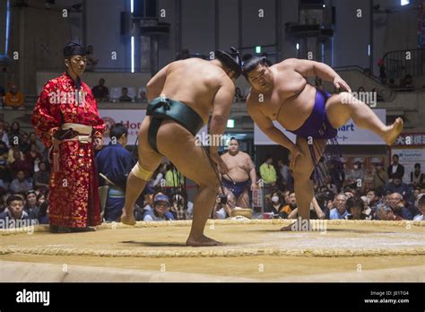 Mejores luchadores de sumo fotografías e imágenes de alta resolución