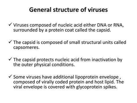 PPT - VIRUS STRUCTURE AND CLASSIFICATION PowerPoint Presentation, free download - ID:2274975