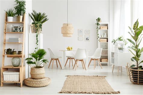 Decoração com plantas na sala: das naturais às artificiais