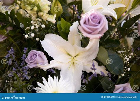 Lirios De Fondo Floral Rosas Violetas Eucalipto Hojas De Fondo Floral