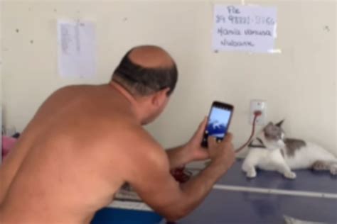 F N Pai De Tutor Muda De Comportamento Gatinho E Diverte Web