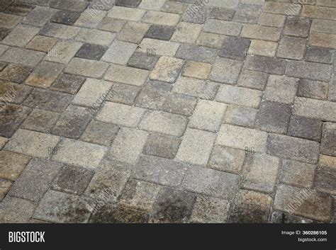 Paving Stones. Cement Image & Photo (Free Trial) | Bigstock