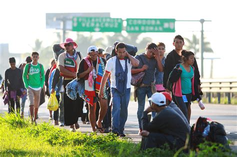 Realizar Salubridad Un Censo De Migrantes El Siglo De Torre N