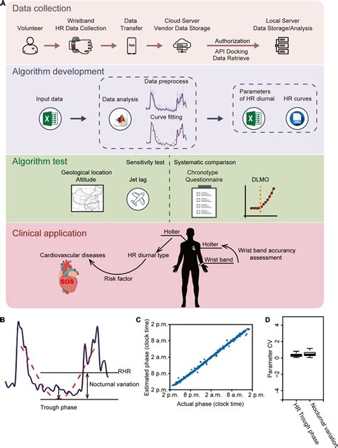 Frontiers Analysis Of Diurnal Variations In Heart Rate Potential