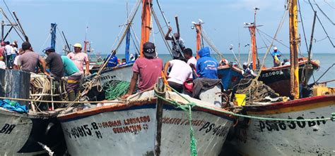 Pesca Artesanal Y Pesca Industrial En El Peru Pesca Informaci N