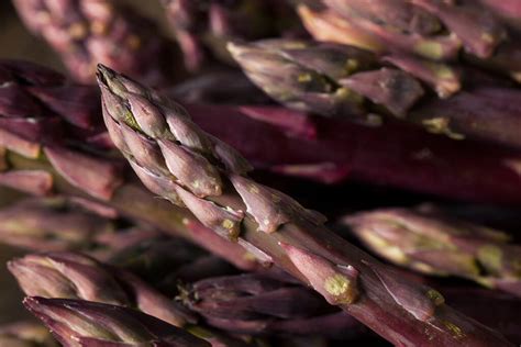 Vegetable Plants Asparagus Erasmus One X Two L Pot By Acqua Garden