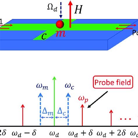 A Schematic Of The Dissipative Photon Magnon Coupling System Which