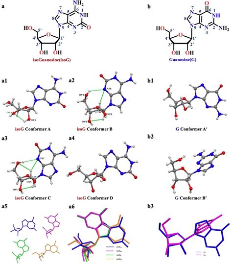 LargeScale Synthesis Of HighPurity Isoguanosine And Resolution Of Its