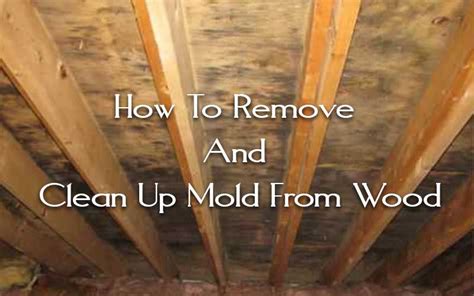 How To Remove and Clean Up Mold From Wood?