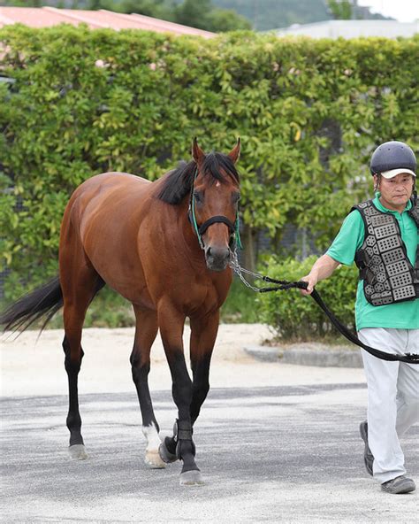 日曜新潟の注目激走馬新潟11r新潟記念・g3 ライブドアニュース