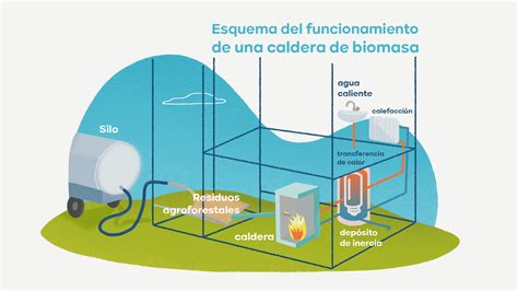 Qué es una caldera de biomasa y cómo funciona Revista Tinglar