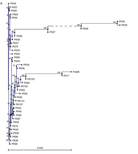 Scielo Brasil Sequence Analysis Of Genes Associated With Resistance