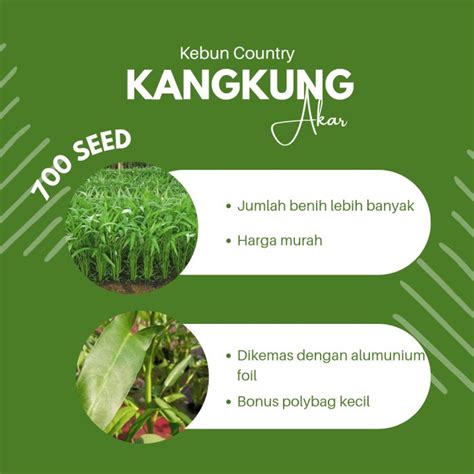 benih kangkung repack lazada indonesia