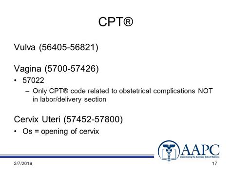 Female Genital System Chapter CPT Copyright 2010 American Medical