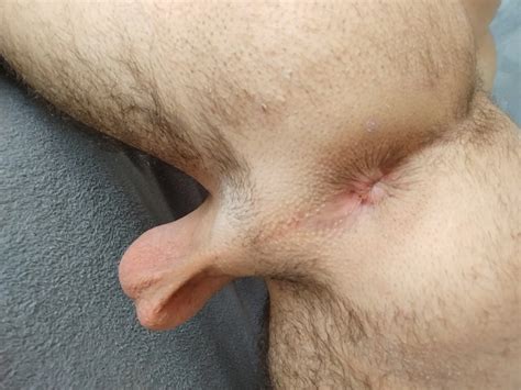 I Present You My Pussy Nude Pics XHamster