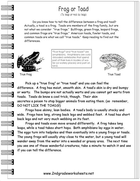 Short Stories For Rd Graders Pdf