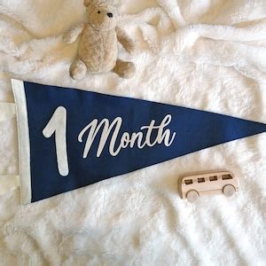 Soft Felt Baby MONTHLY MILESTONE Pennant Milestone Marker Photo Prop