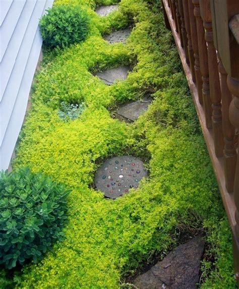 Plante Couvre Sol Un Tableau De Couleurs Naturelles Dans Votre Jardin