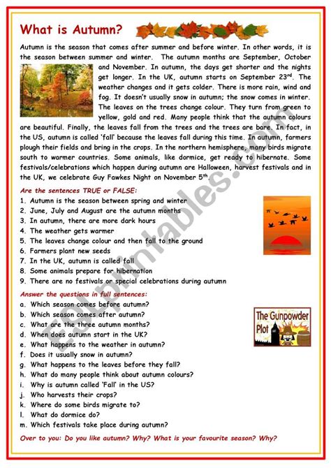 What Is Autumn ESL Worksheet By Cunliffe