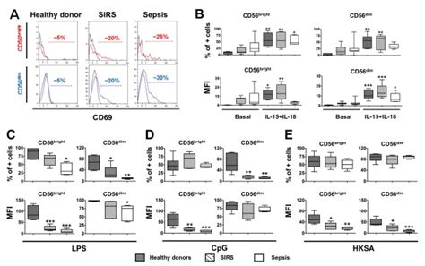 Expression Of Cd69 On Natural Killer Nk Cell Cd56bright And Cd56dim