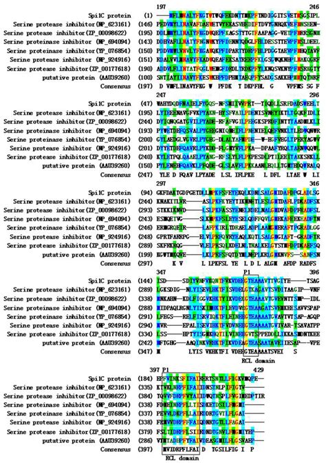 Marine Drugs Free Full Text Characterization Of A Novel Serine