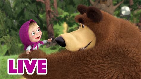 🔴 LIVE! Маша та Ведмідь 🌲 Лісові будні 🐻 НАЖИВО - YouTube