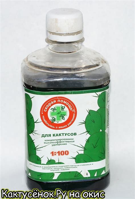 Как составить грунт для кактусов удобрения купить кактус / КАКТУСЁНОК.РУ