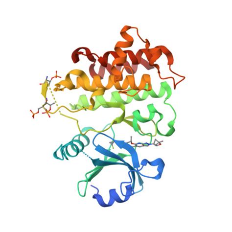 Rcsb Pdb 8tvn Irak4 In Complex With Compound 23