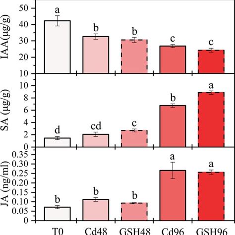 The Effects Of Different Treatments On The Levels Of PAL CAD POD And