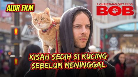 PERSAHABATAN KUCING DENGAN PENGAMEN YANG BIKIN NANGIS ALUR CERITA