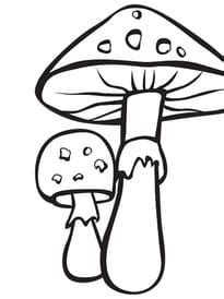 Coloriage Les Champignons Sur Hugolescargot