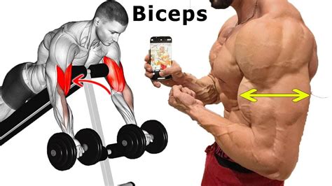 How To Build Biceps Fast Gym Biceps Exercises In 2022 Biceps Biceps