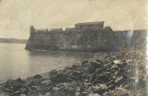 Iloilo City Cultural Heritage Fort San Pedro Site And Ruins Iloilo