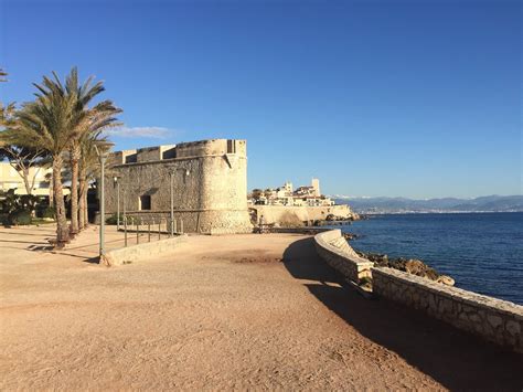 LES MEILLEURES Vignobles à Juan les Pins avec photos