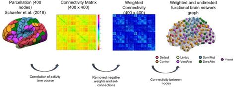 Frontiers Age And Sex Related Topological Organization Of Human