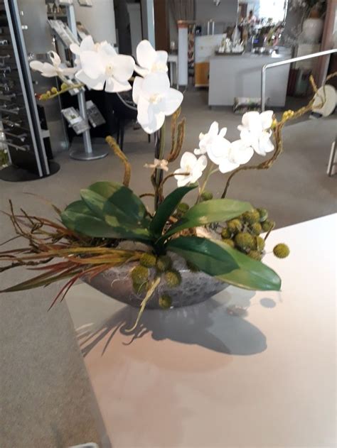 Orchidee In Schale Kunst Orchidee Orchideen Herbst Dekoration