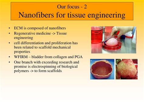 Ppt Nanofibers Powerpoint Presentation Free Download Id3385766