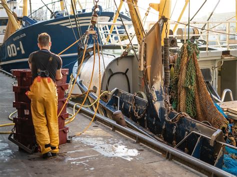 ¿es La Pesca Sostenible Certificada Más Nutritiva